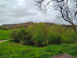 View from cabin