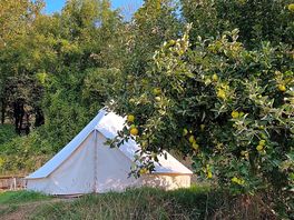 Our beautiful bell tent