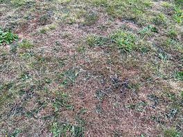 Ground