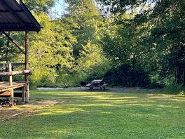 Morning at 🏕️
