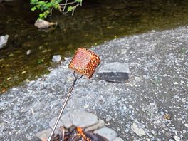 Campfire