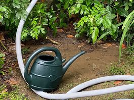 After connecting drains - they were blocked, also no water connection!