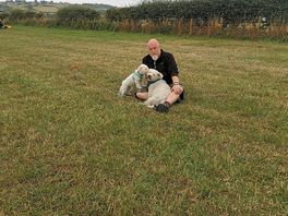 Dogs loved it