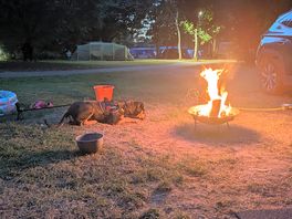 Chilling by the fire