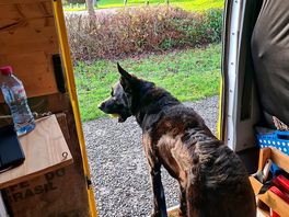 Watching the world go by