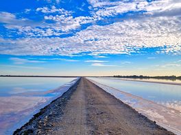 Salin de giraud