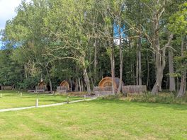 The site