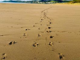 Beautiful beach