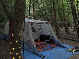 Tent at night on rabbit pitch