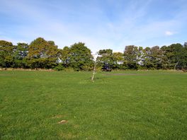 Pitches designed for small tents or pup tents