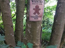 Woods