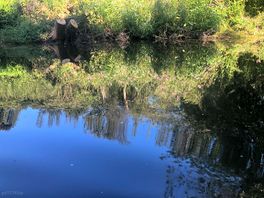 Stunning reflection