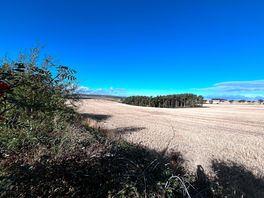 View from site