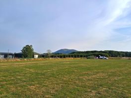 Large level field