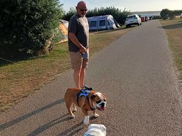 Gentle stroll.