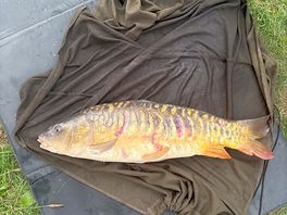 Great fishing