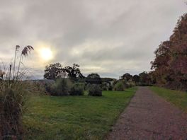 Campsite