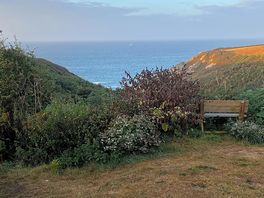 Coastal walk leading from campsite