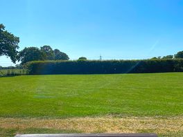 Field view