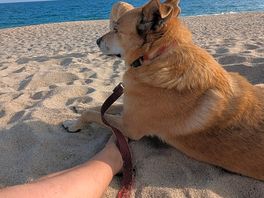 Carlyon bay beach
