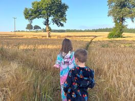 Field opposite