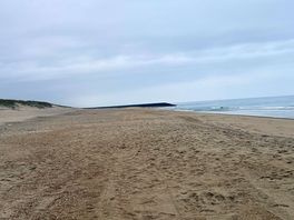 The beach