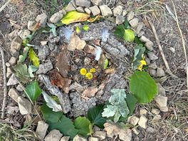 Nature mandala