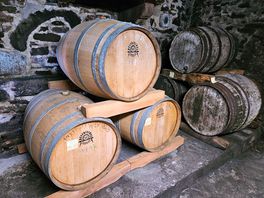Hausgemachter cidre