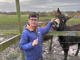 A lovely donkey welcome.