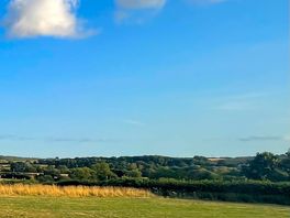 Field view