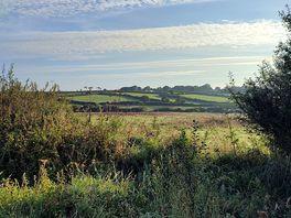 Field behind dog walking field