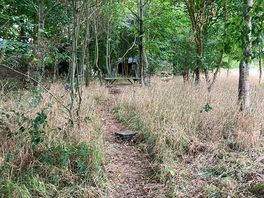 Woodland path to toilets