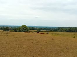 Camping field