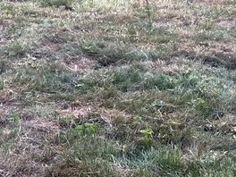 Ground condition