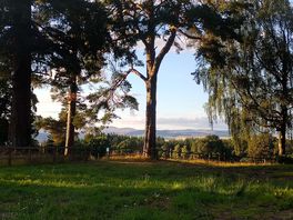 Beautiful views