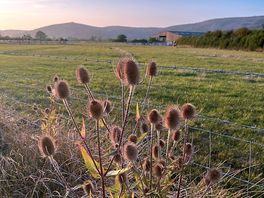 Sunset on the public footpath behind the site
