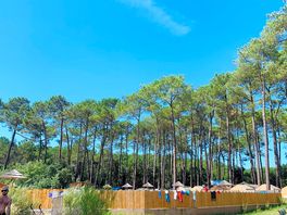 Pine woods