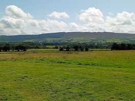 Hills