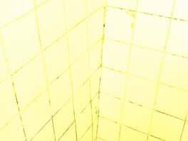 Shower recess - black mould.