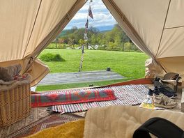 The view from the comfy bed