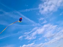 Kite flying