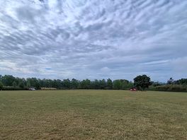 Field