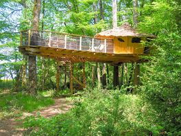 Chimpanzés treehouse