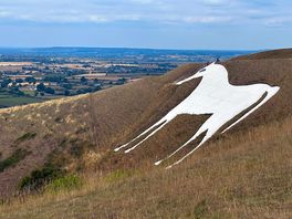 White horse