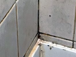 Showers