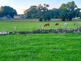 Field next to campsite