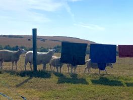 Friendly neighbours