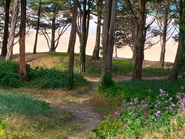 The coast near to the campground