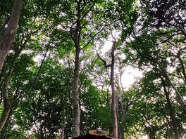 Under the trees