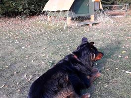 Stayed opposite unique little pod ,for backpackers and cyclists on the yorkshire wold trail.